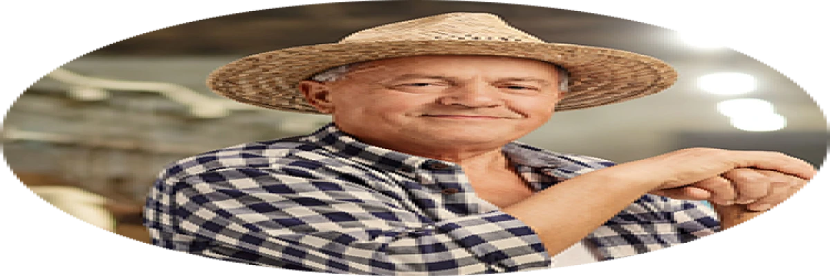 Voluptates ex ex acc